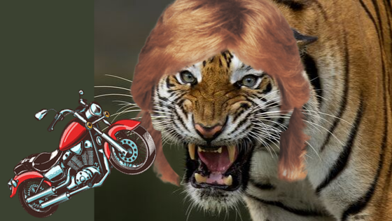 Here’s a secret about tigers, mullets, and motorcycles